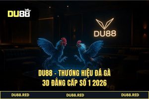 Đá Gà 3D