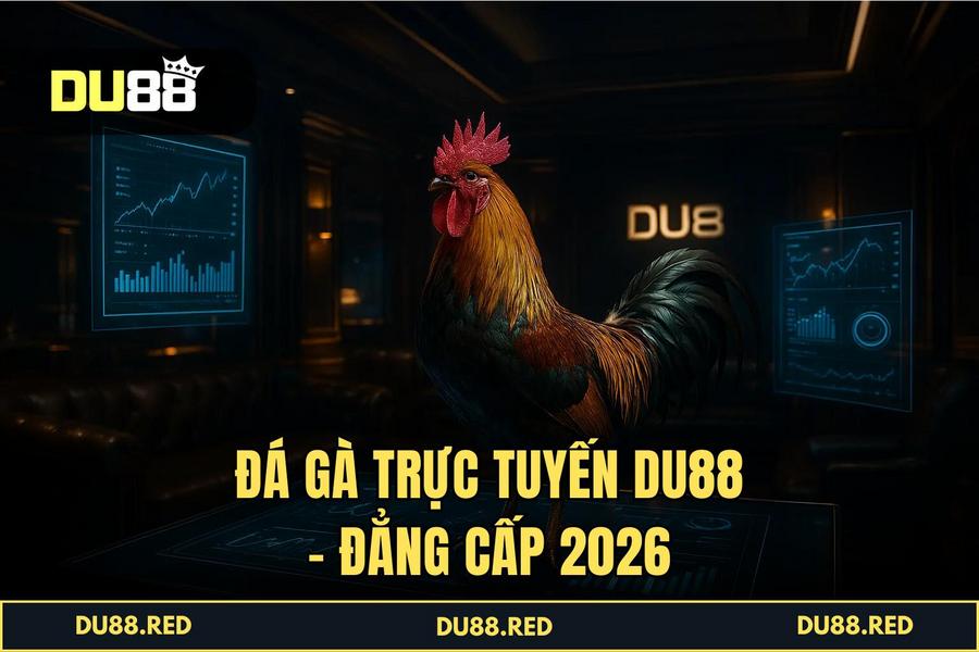 Đá Gà Trực Tuyến DU88